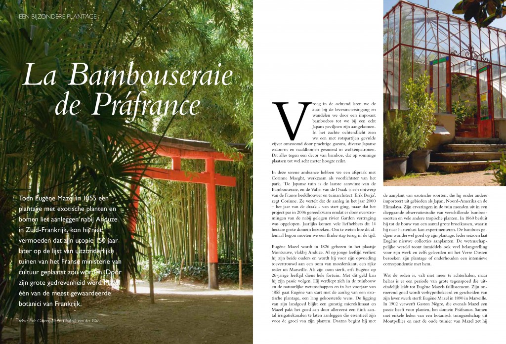 Bambouseraie-1