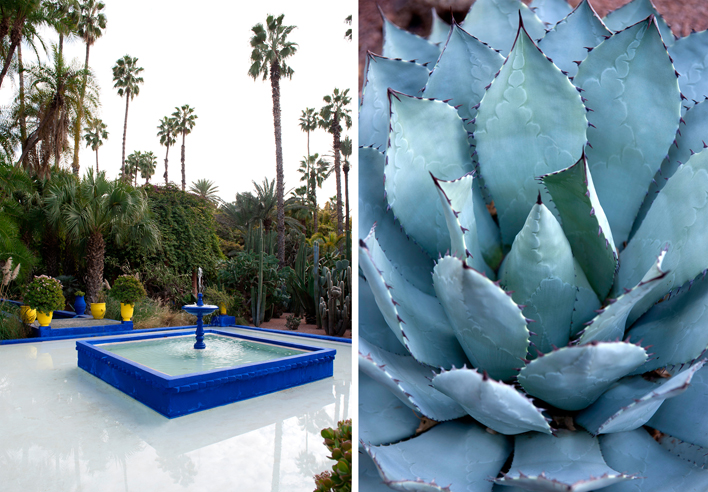 Jardin Majorelle