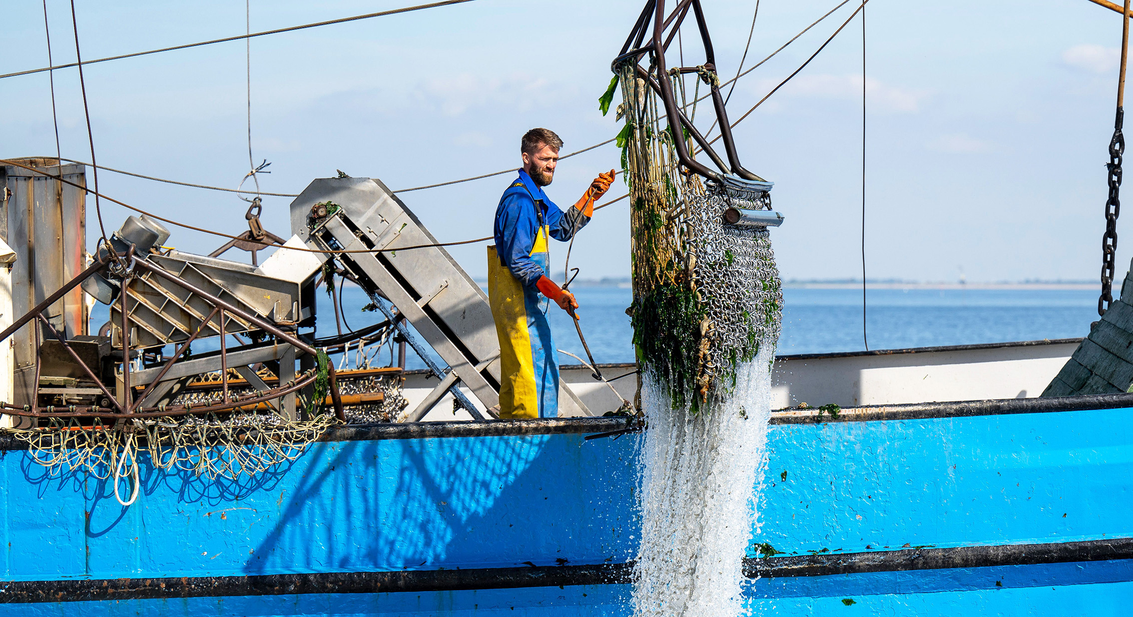 Zeeuwse oesters, oesters, huitres, opening oesterseizoen, Zeeland, Yerseke, Het Oesterboek, Oesterkweek, smaak, culinair, vis, zee, water, vakantie Zeeland, Om de West