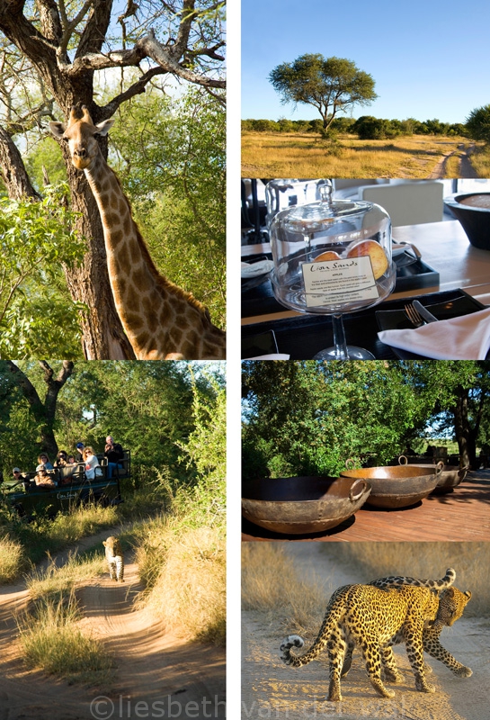 Lion Sands, safari, zuid afrika, reizen, reis naar Zuid Afrika, hotel boeken, tekst Eric Govers en fotografie Liesbeth van der Wal ©santmedia
