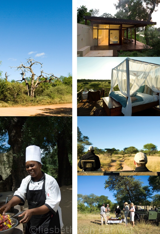 Lion Sands, safari, zuid afrika, reizen, reis naar Zuid Afrika, hotel boeken, tekst Eric Govers en fotografie Liesbeth van der Wal ©santmedia