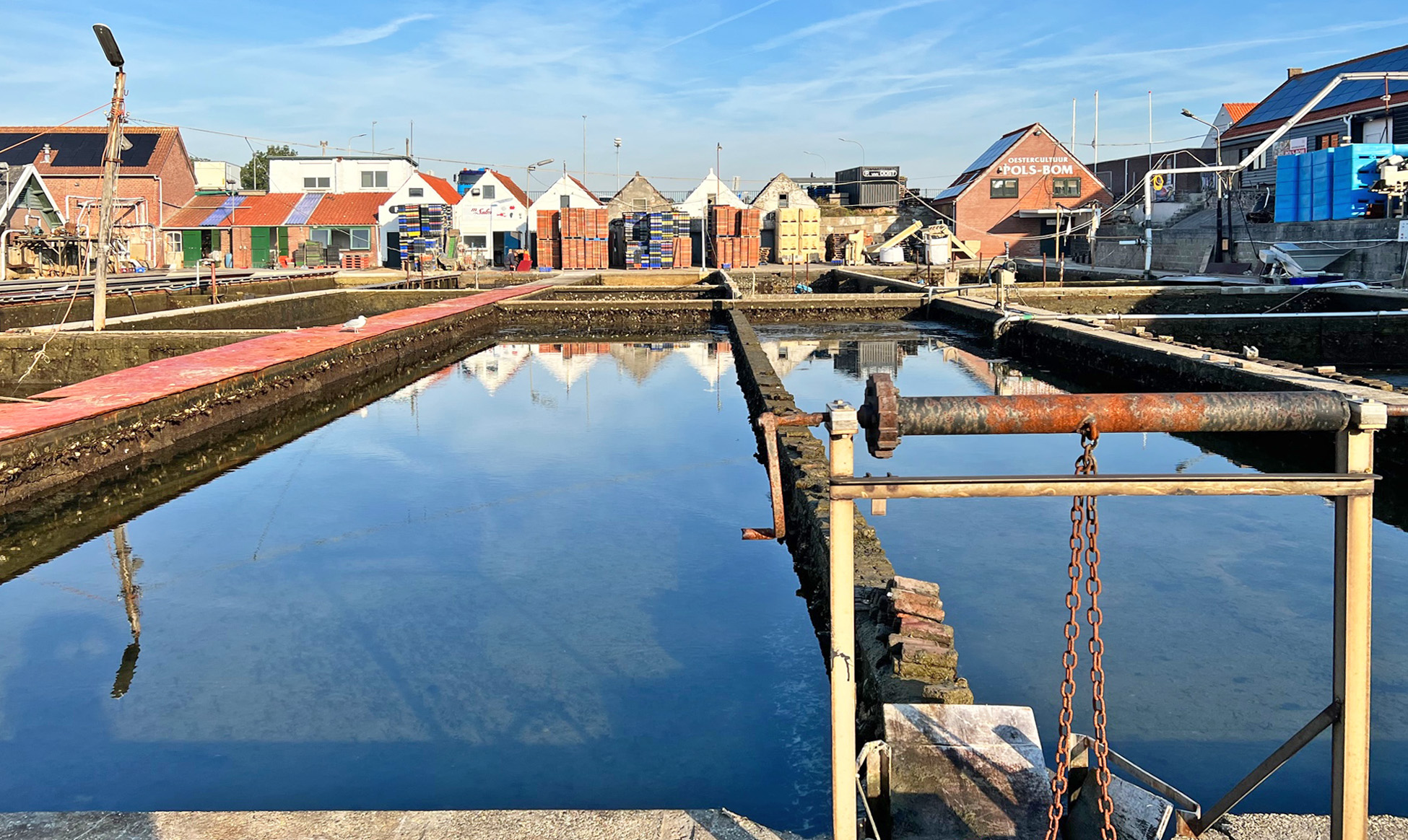 Zeeuwse oesters, oesters, huitres, opening oesterseizoen, Zeeland, Yerseke, Het Oesterboek, Oesterkweek, smaak, culinair, vis, zee, water, vakantie Zeeland, Om de West