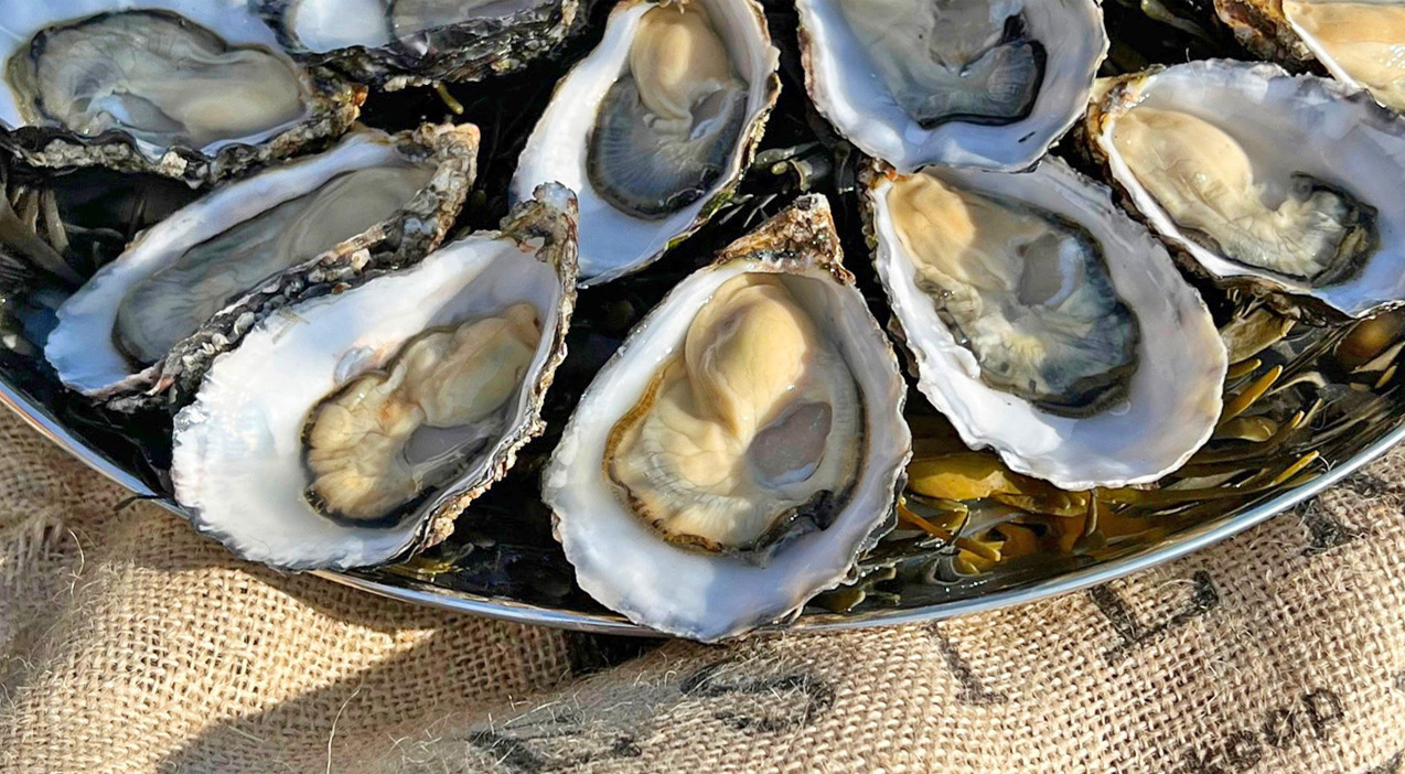Zeeuwse oesters, oesters, huitres, opening oesterseizoen, Zeeland, Yerseke, Het Oesterboek, Oesterkweek, smaak, culinair, vis, zee, water, vakantie Zeeland, Om de West