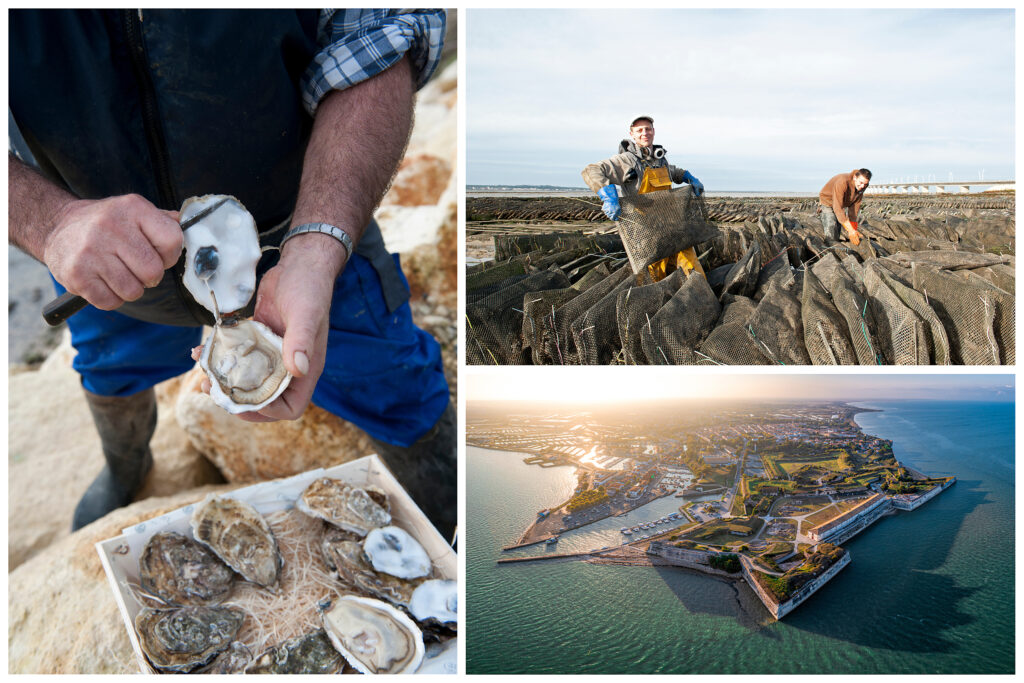 vakantie Frankrijk, eilanden Atlantische kust Frankrijk, zout winning, idyllische zandstranden, eilandhoppen, zout, zand, zomer, oesters, Ile de Re, strandvakantie, vakantie boeken, natuur, watersport, zee, strand, zomer, www.santmedia.nl
