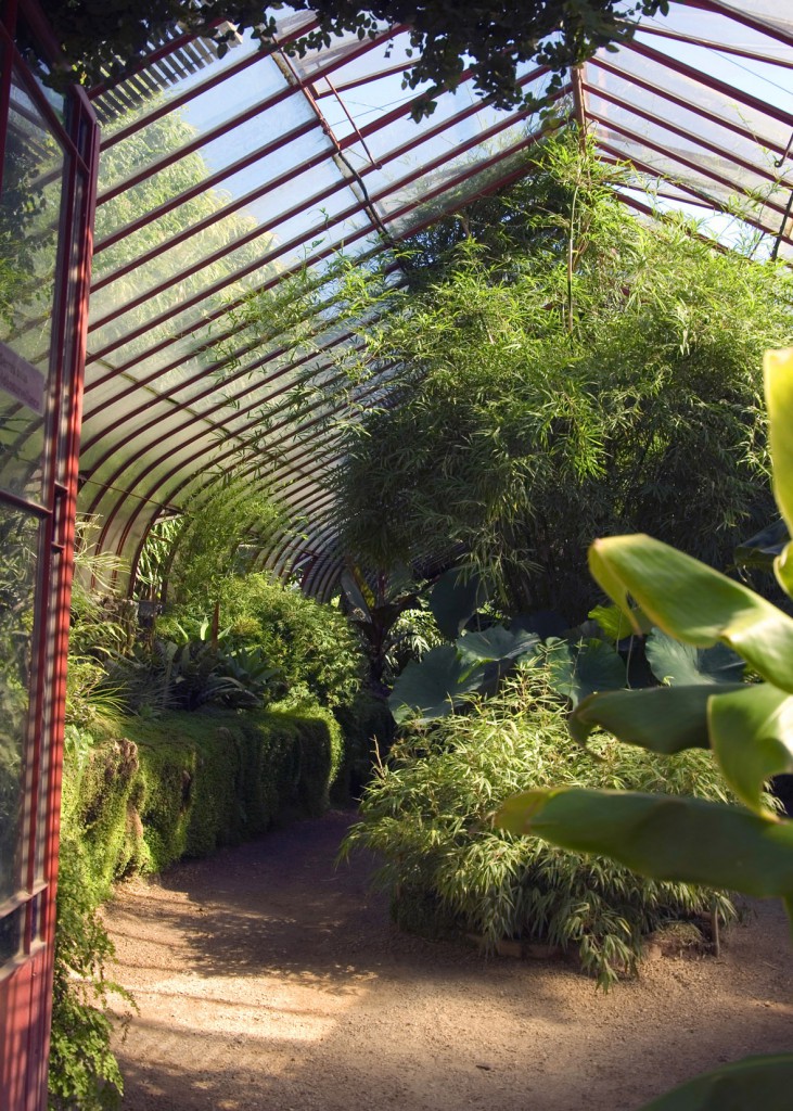 tuinen, La Bambouseraie, Franse tuin, tuinfoto's, architectuur fotografie, tuinfotografie, Japanse tuinen