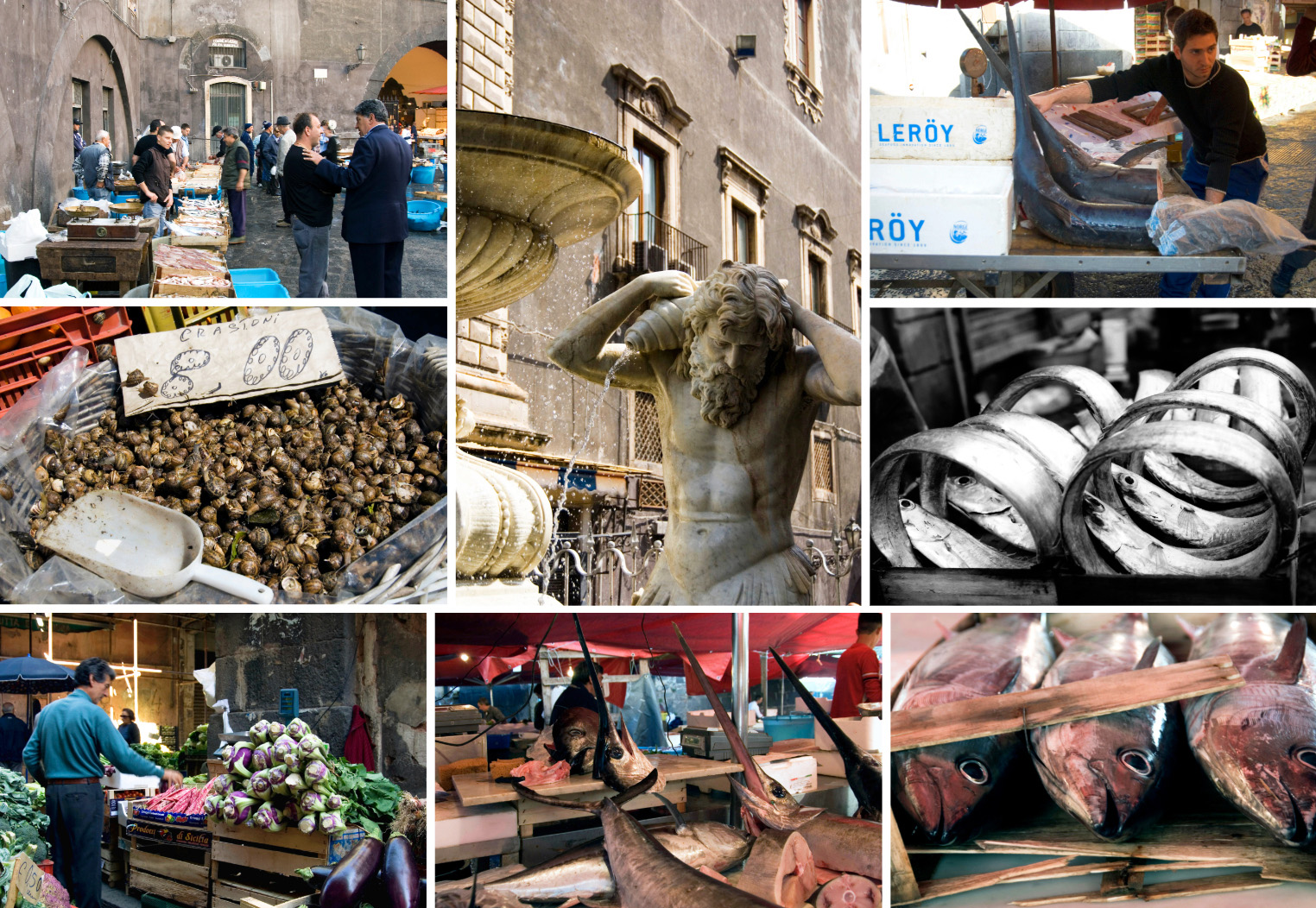 Catania, Sicilie, Sicilia, reizen Italie, travel Italy, vakantie in Italie, vakantie Sicilie, vismarkt Catania, Vis, vismarkt, tekst Eric Govers, Fotografie Liesbeth Govers - van der Wal, Santmedia.nl, huis huren Italie