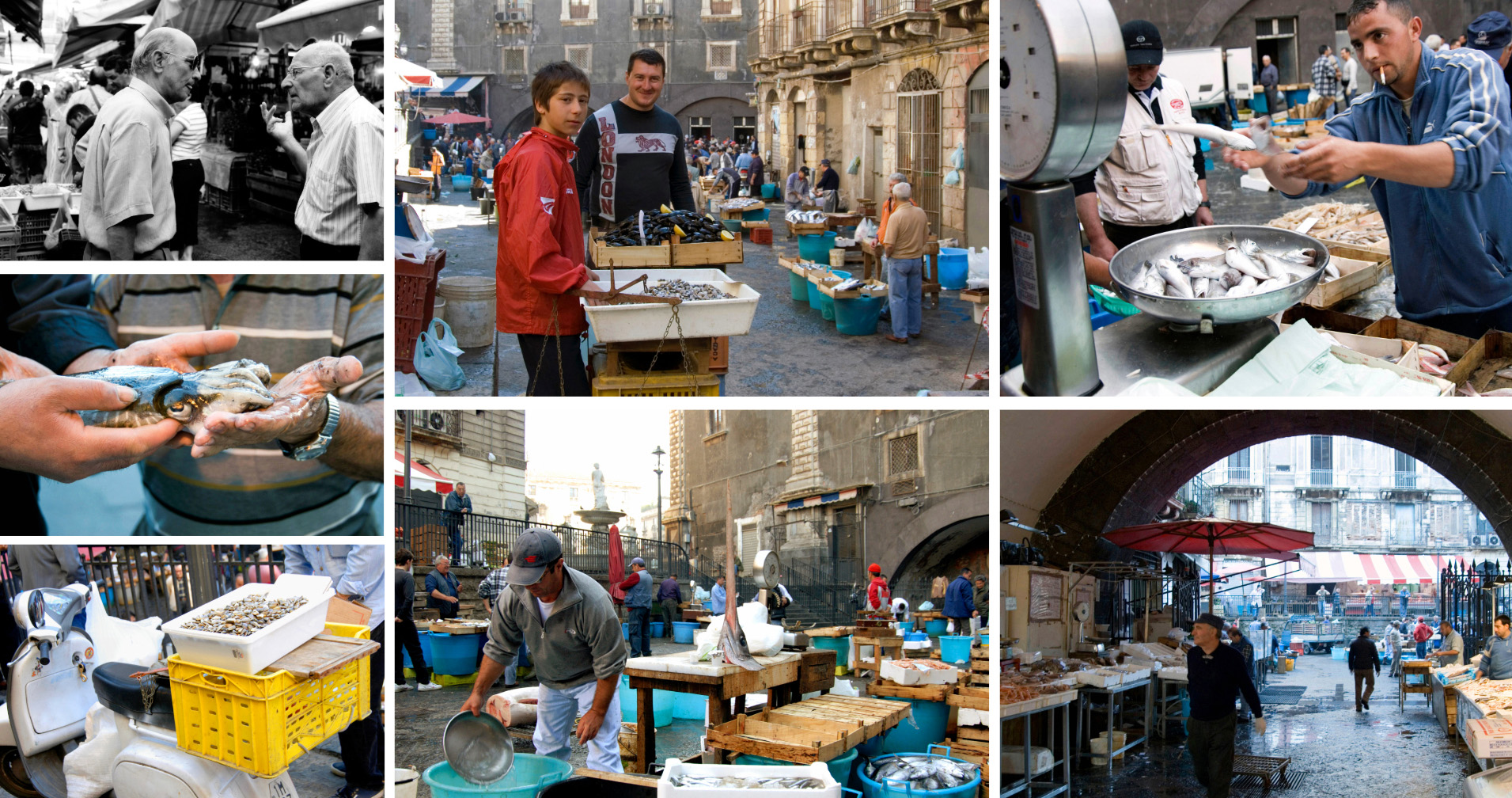 Catania, Sicilie, Sicilia, reizen Italie, travel Italy, vakantie in Italie, vakantie Sicilie, vismarkt Catania, Vis, vismarkt, tekst Eric Govers, Fotografie Liesbeth Govers - van der Wal, Santmedia.nl, huis huren Italie
