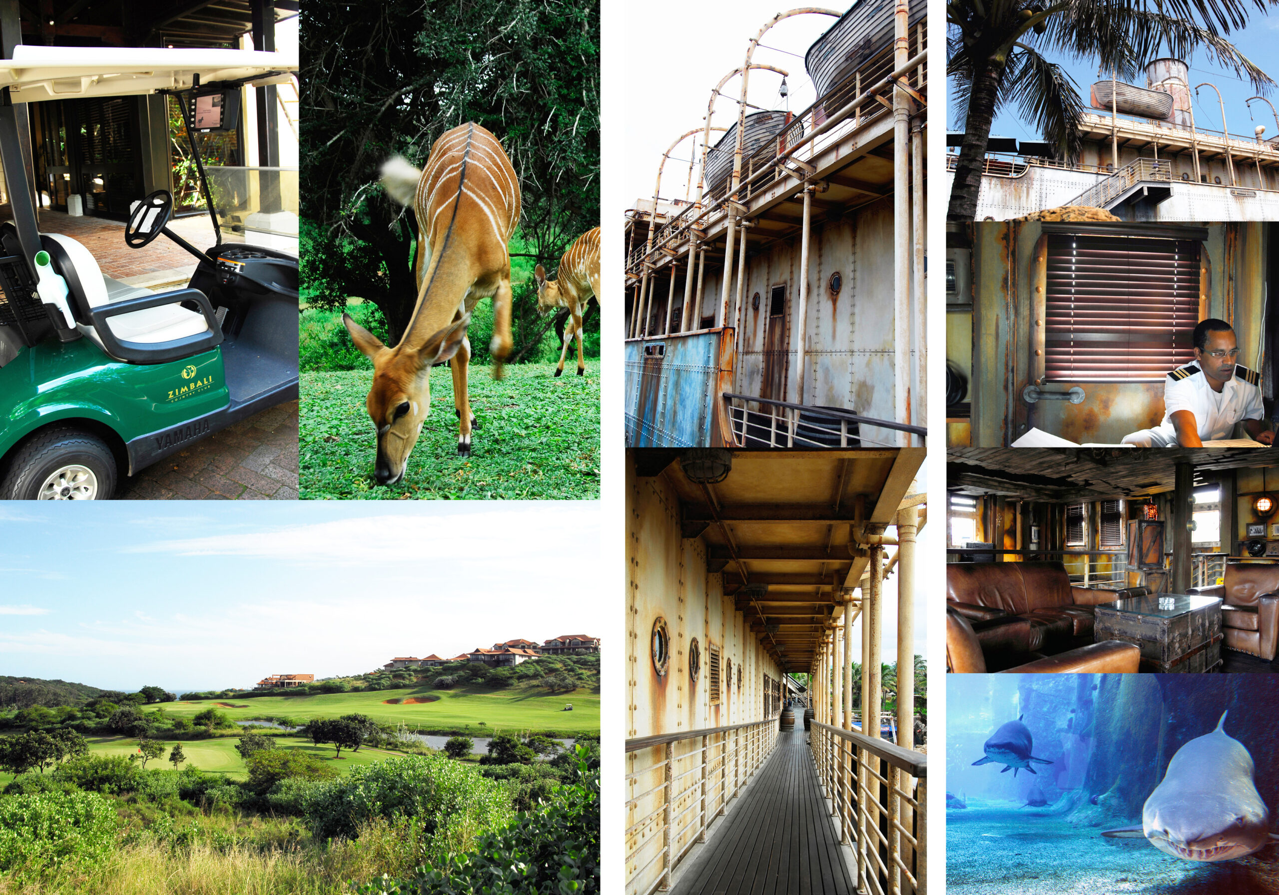 Zuid Afrika, reizen, reis naar Zuid Afrika, South-Africa, Durban, Mooi River, travel South Africa, The Boat House, Zimbali, Hardford House, Summerhill Zuid Afrika, vakantie Zuid Afrika, Oostkust Zuid Afrika, Drakensbergen, Rawdons Hotel, Zimbali Lodge, Tekst Eric Govers, fotografie Liesbeth Govers - van der Wal, santmedia.nl, Renpaarden, Dolphin Coast South Africa