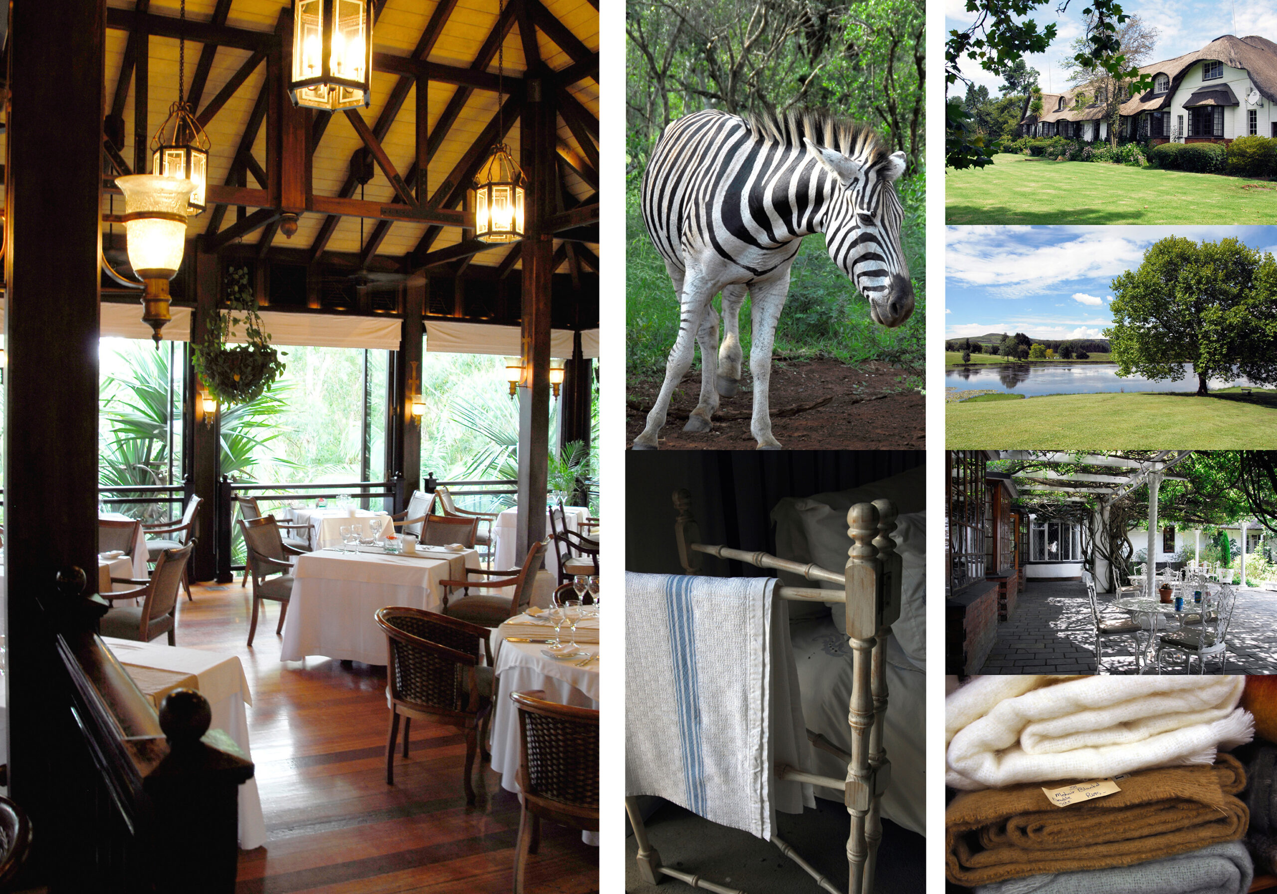 Zuid Afrika, reizen, reis naar Zuid Afrika, South-Africa, Durban, Mooi River, travel South Africa, The Boat House, Zimbali, Hardford House, Summerhill Zuid Afrika, vakantie Zuid Afrika, Oostkust Zuid Afrika, Drakensbergen, Rawdons Hotel, Zimbali Lodge, Tekst Eric Govers, fotografie Liesbeth Govers - van der Wal, santmedia.nl, Renpaarden, Dolphin Coast South Africa